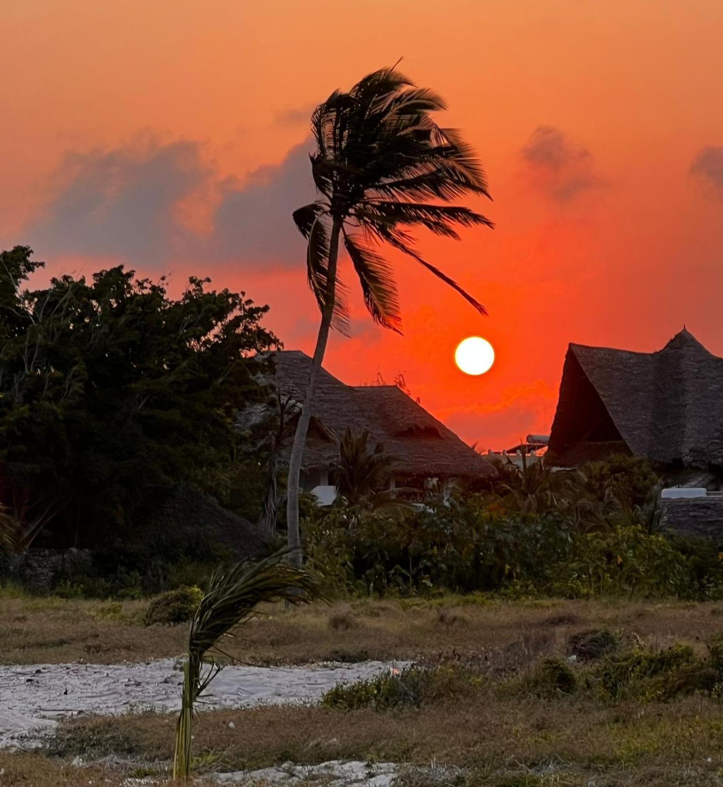 Bed and Breakfast Shira House Watamu Esterno foto